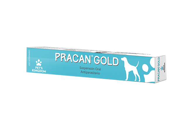 DESPARASITANTE PRACAL GOLD PETS X 10 MIL