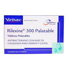 ANTIBIOTICO RILEXINE 300 X UND