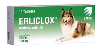 ANTIBIOTICO ERLICLOX 100 MG X 5 UND