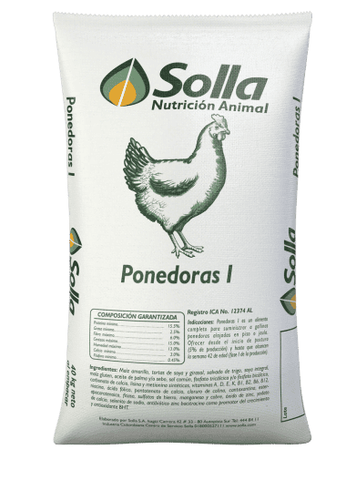 AVES PRODUCION PONEDORA X 1 KG