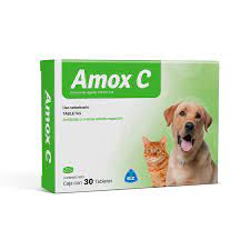 AMOX C (AMOXICILINA)X 5 UND