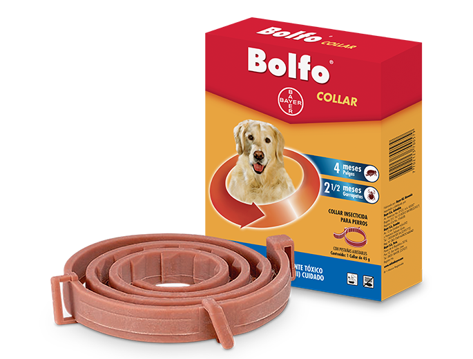 BOLFO COLLAR