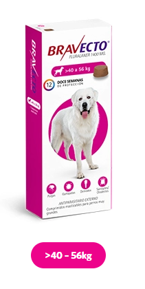 BRAVECTO DE 40 - 56 KG