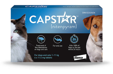 CAPSTAR ANTIPULGAS PESO 11,4MG X 1 TAB