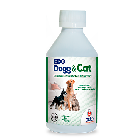 DESPARASITANTE DOGG & CAT X 250 ML