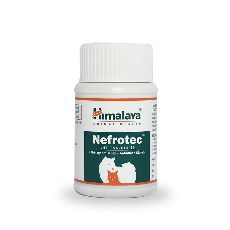 NEFROTEC X 10 TABLETAS