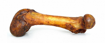 HUESO FEMUR BBQ