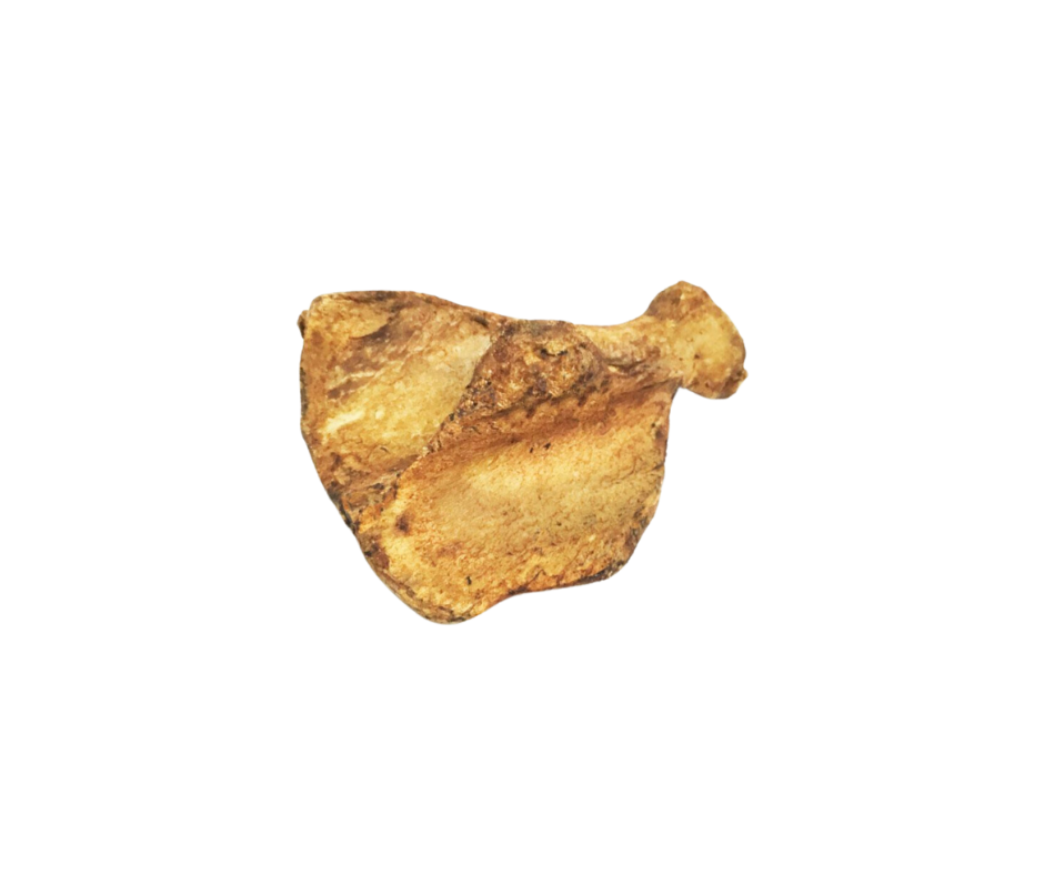 HUESO PALETA DE CERDO