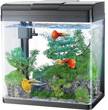 PECES ACUARIO PEQUEÑO EL CRISTAL