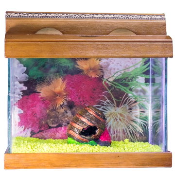 PECES BETERAS EN VIDRIO BASE DECORADA CERAMICA