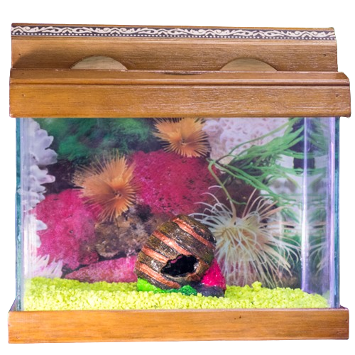 PECES BETERAS EN VIDRIO BASE DECORADA CERAMICA