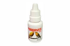 PURGA AVES