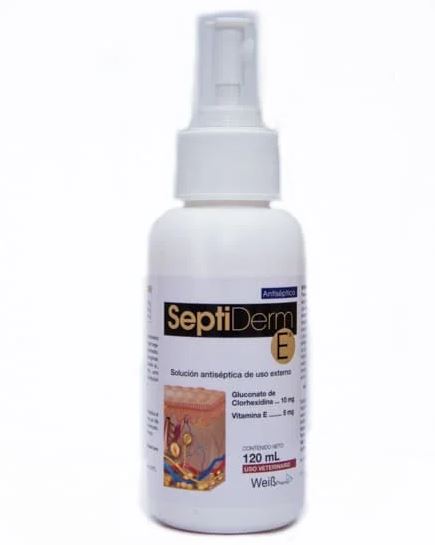 SEPTIDERM E X 120 ML