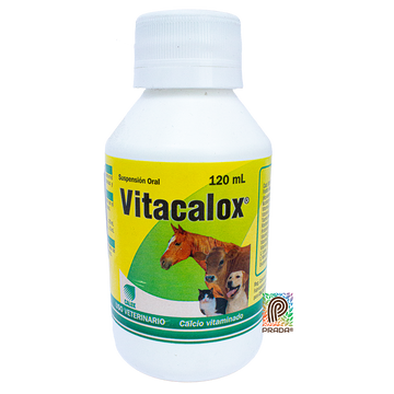 VITACALOX SUSPENSION X 120 ML (3157)
