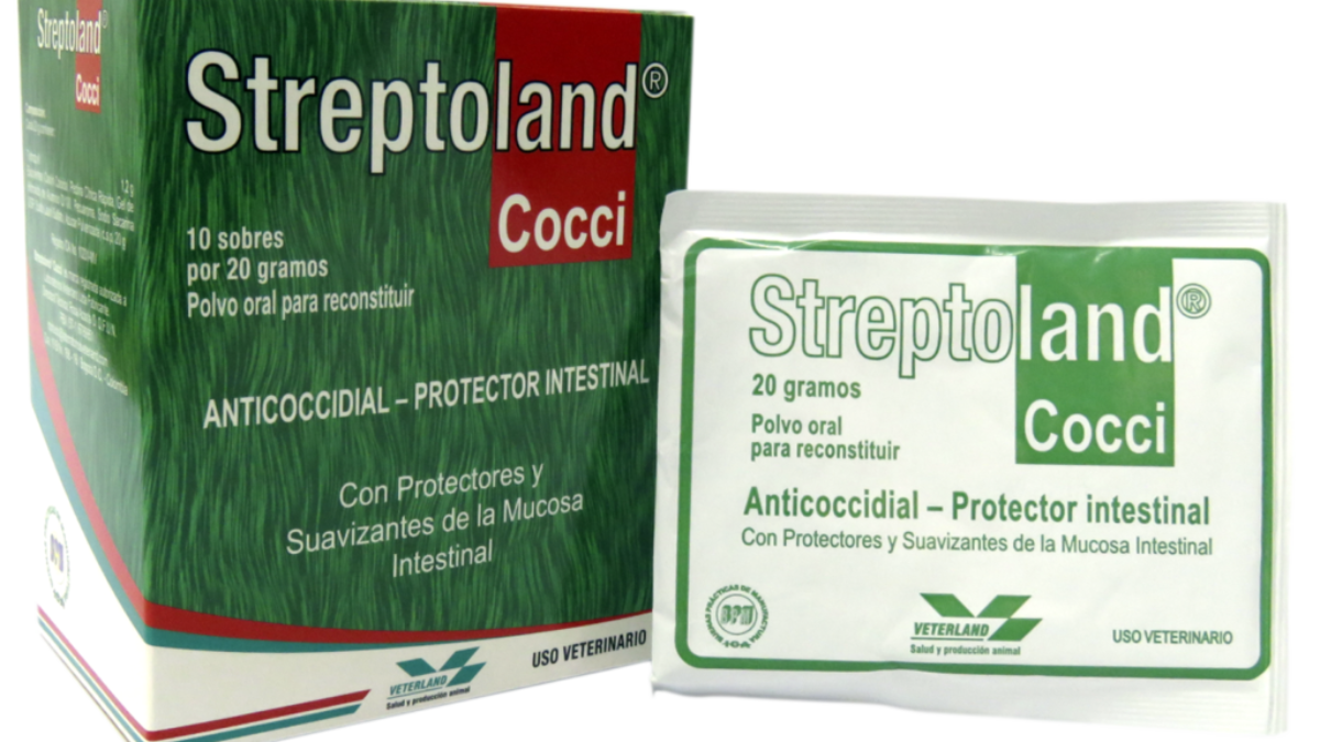 STREPTOLAND