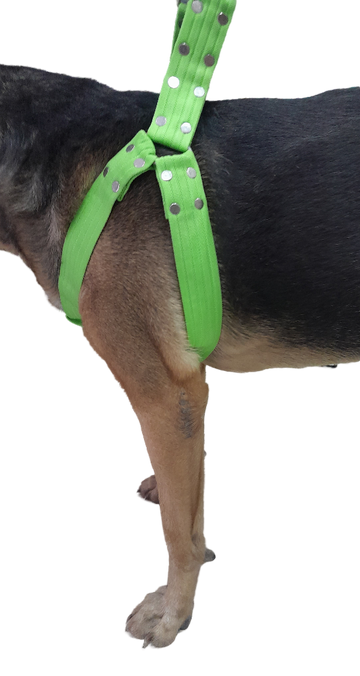 TRADILLA ANIMAL PLANET 1.1/2 REF 106