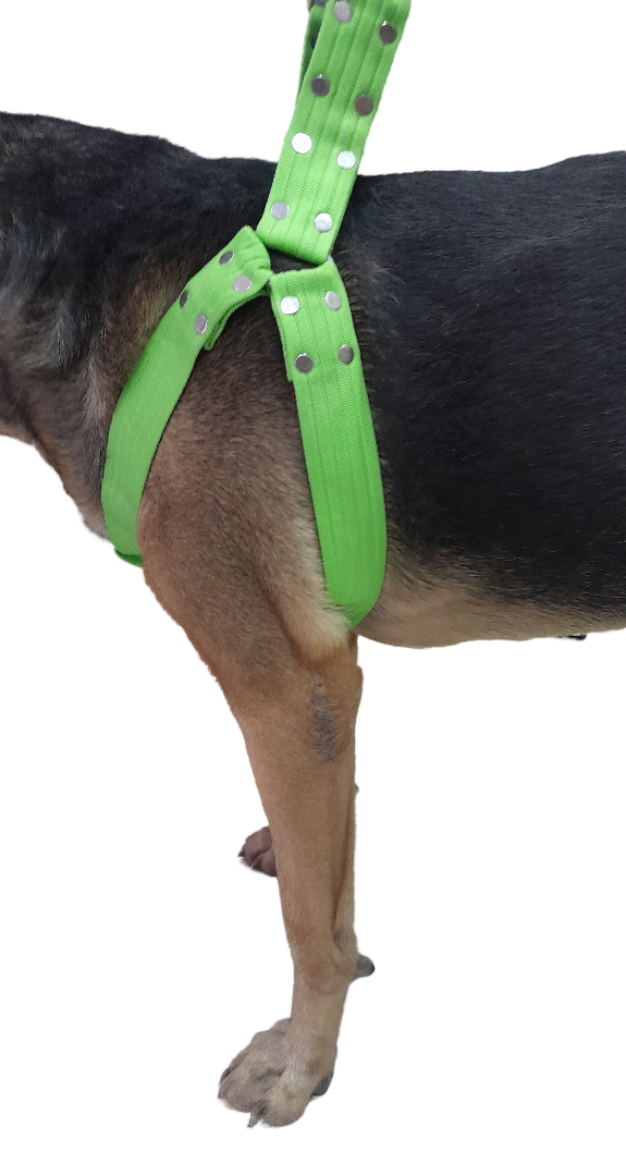 TRADILLA ANIMAL PLANET 1.1/2 REF 106