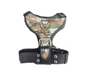 PECHERA AGUILA GRANDE