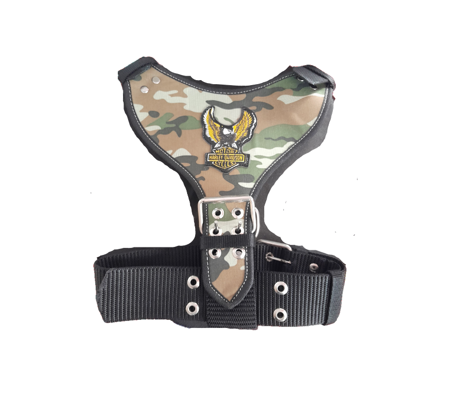 PECHERA AGUILA GRANDE