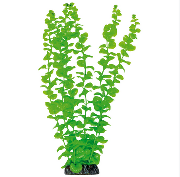 PECES PLANTAS PLASTICAS DE 38CM X1 UND REF M104003