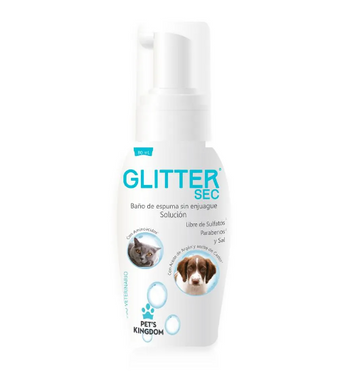 GLITTER BAÑO SECO ESPUMA 80ML