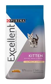 EXCELLENT KITTEN 1 KL