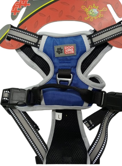 ARNES IMPORTADO MOUNTAIN TALLA L REF CM-PRP-H401 L