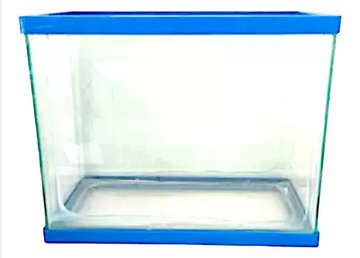 PECES ACUARIO DE VIDRIO PEQUEÑO