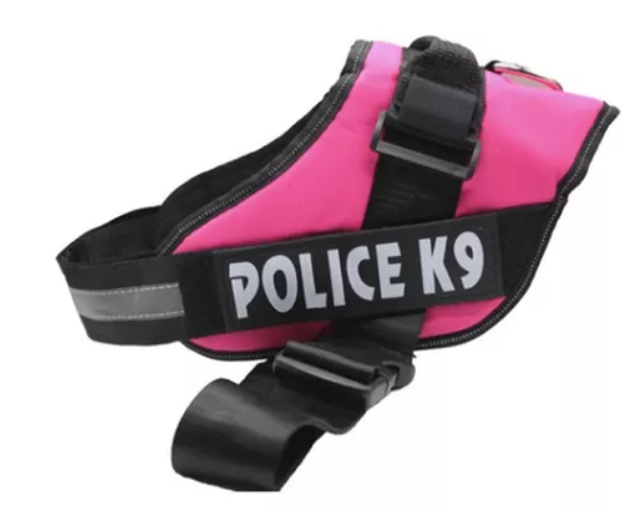 PECHERA POLICE TALLA L
