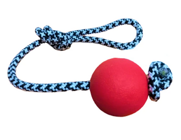 PELOTA LAZO GRANDE