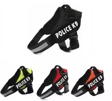 PECHERA POLICE T.S