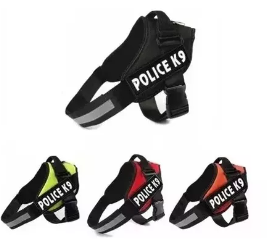 PECHERA POLICE T.S