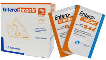 ENTERO CHRONIC SACHETS 4GR C/U