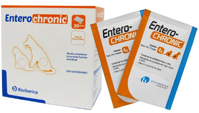 ENTERO CHRONIC SACHETS 4GR C/U