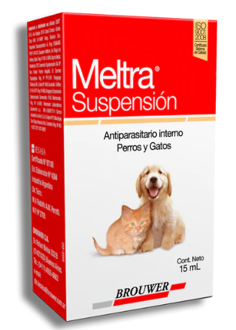 MELTRA SUSPESIONORAL X 15ML