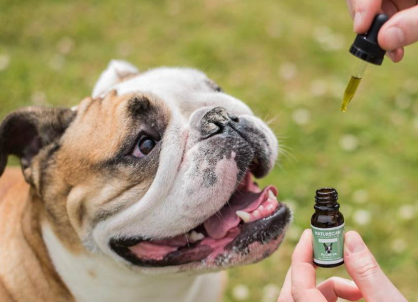 NATURE BOTANICAL VERDE 3ML