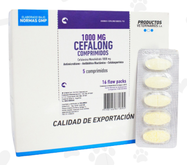CEFALONG 1000MG SB X 5 TAB