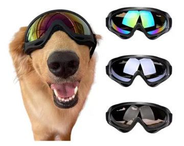 GAFAS PARA MASCOTAS FINA GRANDE REF GAF-1