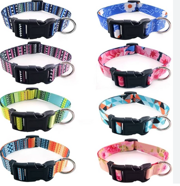 COLLAR PARA PERRO 2CM REF CWXQ1243