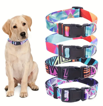 COLLAR PARA PERRO 2.5CM REF CWXQ1244