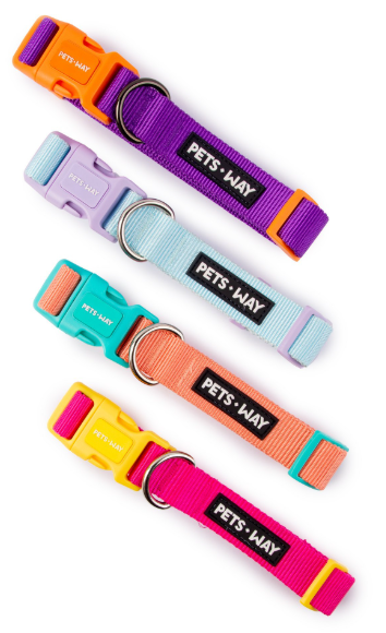 COLLAR PARA PERRO 2.5 CM REF CWQ1183