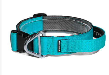 COLLAR IMPORT KING 1.5cm 39-44 RF CM-DC-006 T.S