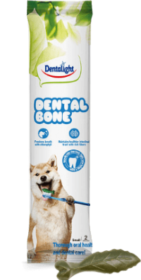 DENTALIGHT BONE X2 UND 2.5" REF 02276-1