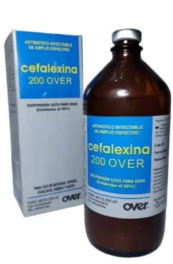 VET INY CEFALEXINA 200 OVER X 100 ML