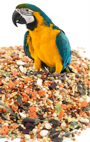 VITA AVE GUACAMAY/LOROS 250 GR-AGRANEL
