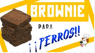 BROWNIES PARA PERRO X 4 UND