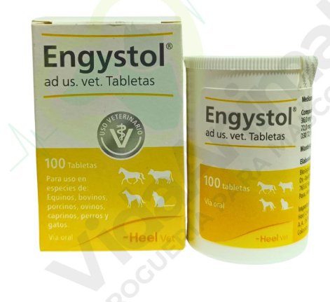 ENGYSTOL TABLETA X 100 UND