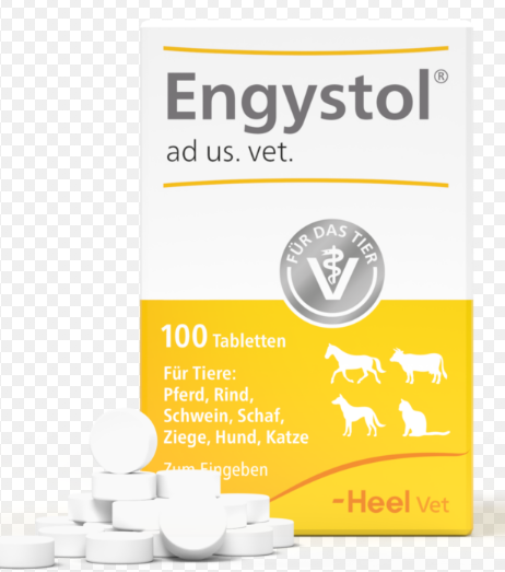 ENGYSTOL PAQUETE X 10 UNIDADES