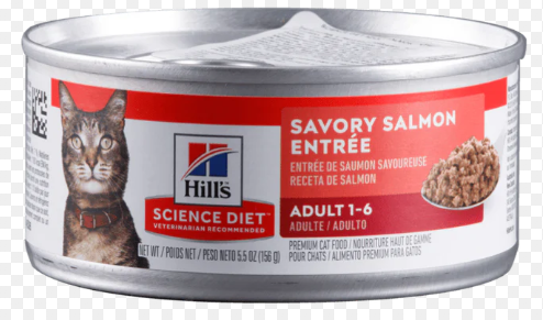 HILLS ADULT SALMON 5.5 OZ (REF 02121)