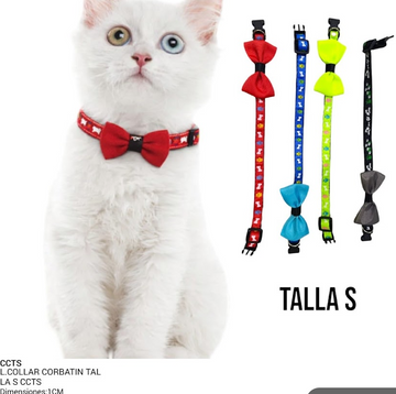 COLLAR CORBATIN TALLA S REF CCTS